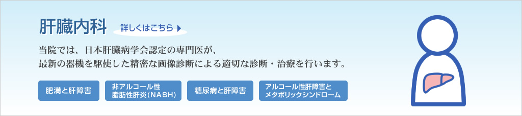 肝臓内科 詳しくはこちら 当院では、日本肝臓病学会認定の専門医が、最新の器機を駆使した精密な画像診断による適切な診断・治療を行います。 肥満と肝障害 非アルコール性脂肪性肝炎(NASH) 糖尿病と肝障害 アルコール性肝障害とメタボリックシンドローム